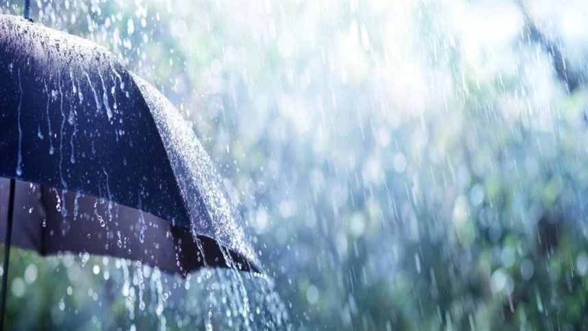 chuvas vem contribuindo com as lavouras no mexico 2