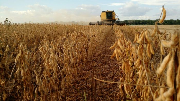 colheita de soja atinge 90 das areas no parana plantio de milho quase
