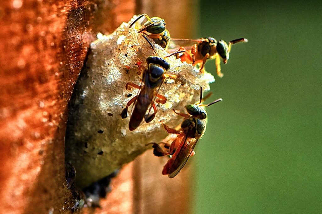 Com ampliação de programas, Paraná é destaque em sustentabilidade 2 com ampliacao de programas parana e destaque em sustentabilidade 1