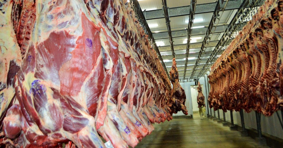 frigoríficos, compras, gado, mercado, pecuário, análise, ausência, situação, preços, oferta