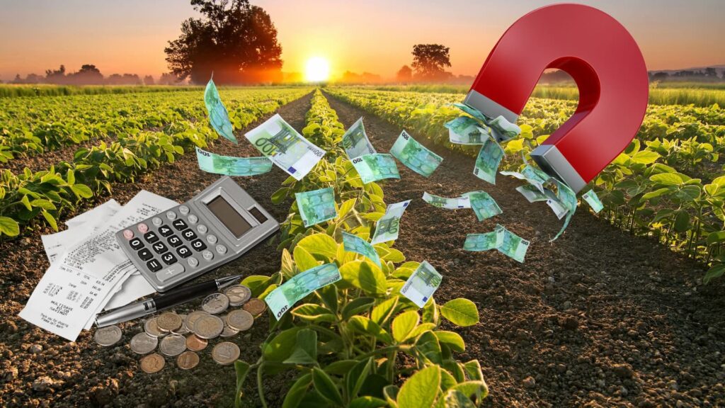 como ter economia tributaria na propriedade rural 1