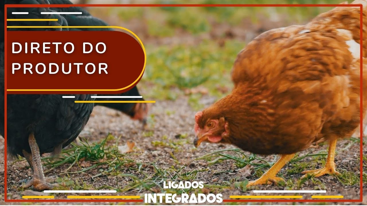 Ligados & Integrados