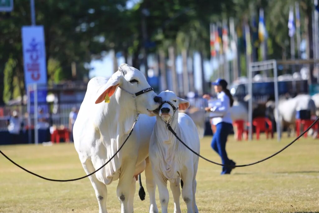 confira os jurados que vao julgar as racas na 88a expozebu edicao 2023