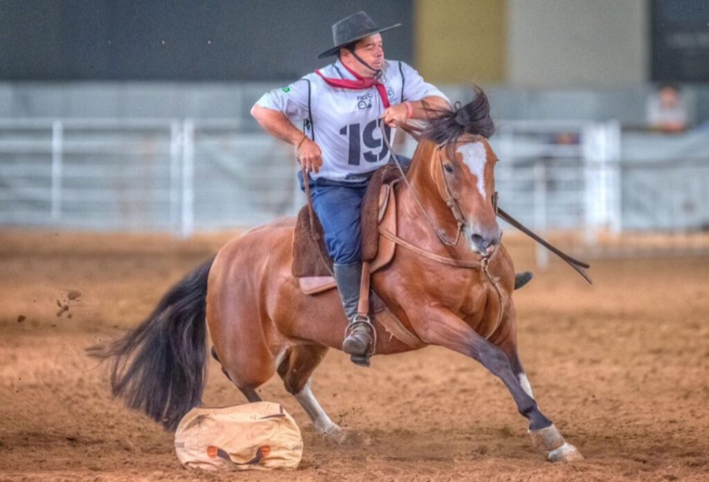 Copa do Mundo do Cavalo Crioulo disputada na Argentina 2 cavalo crioulo, a Copa do Mundo do Cavalo Crioulo, competições de cavalo crioulo, vencedores da Copa do Mundo do Cavalo Crioulo, raça crioula, história do cavalo crioulo, eventos de equitação, modalidades de equitação, treinamento de cavalo e show de cavalos