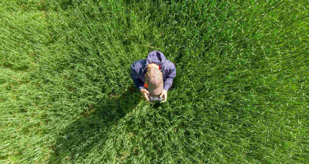 credito de carbono fiagros lca boi e canhamo veja as 10 materias mais lidas em abril no agro times money times