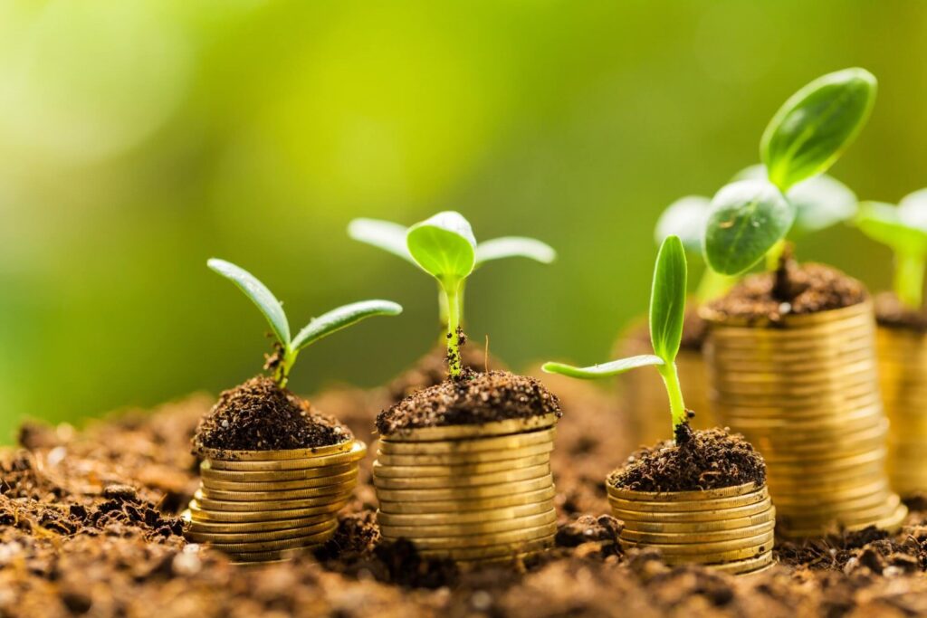 credito rural do plano safra 2022 23 ja alcancou r 267 bilhoes