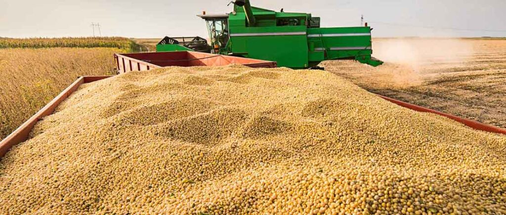 deral eleva em 200 mil t estimativa de safra de soja do parana reduz