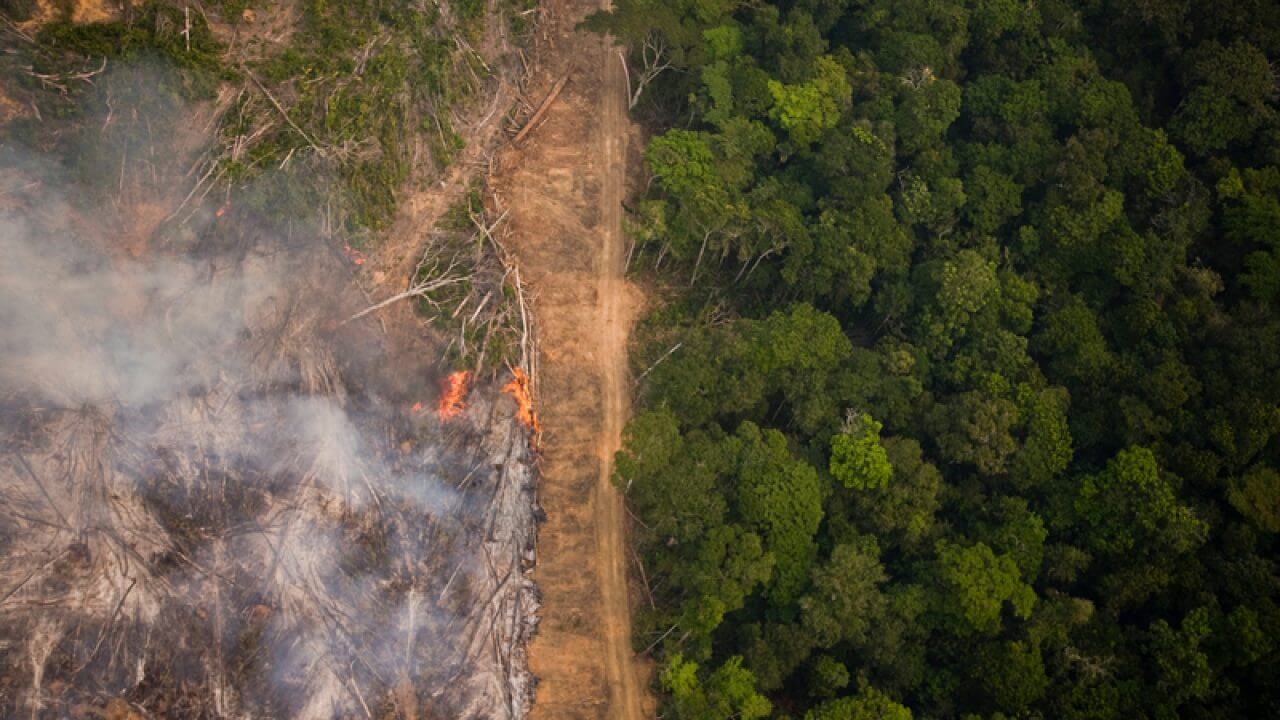 Desmatamento na Amazônia triplica em março