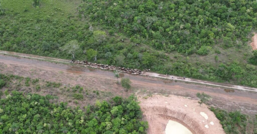 drones auxiliam fiscais do indea no monitoramento de areas na fronteira portal dbo