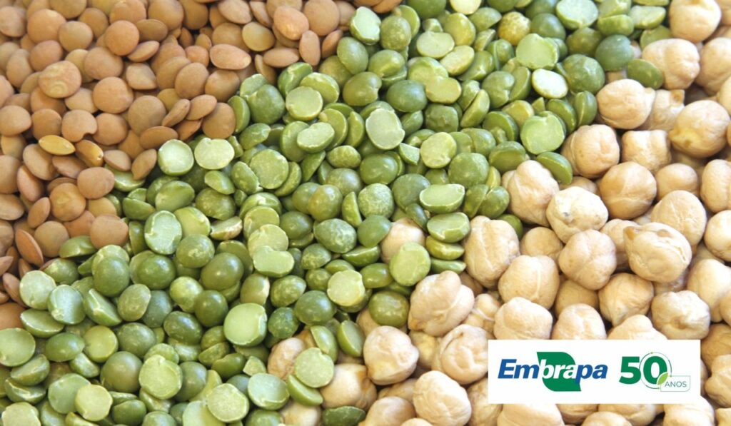 especialistas discutem avancos e perspectivas de producao dos graos no brasil