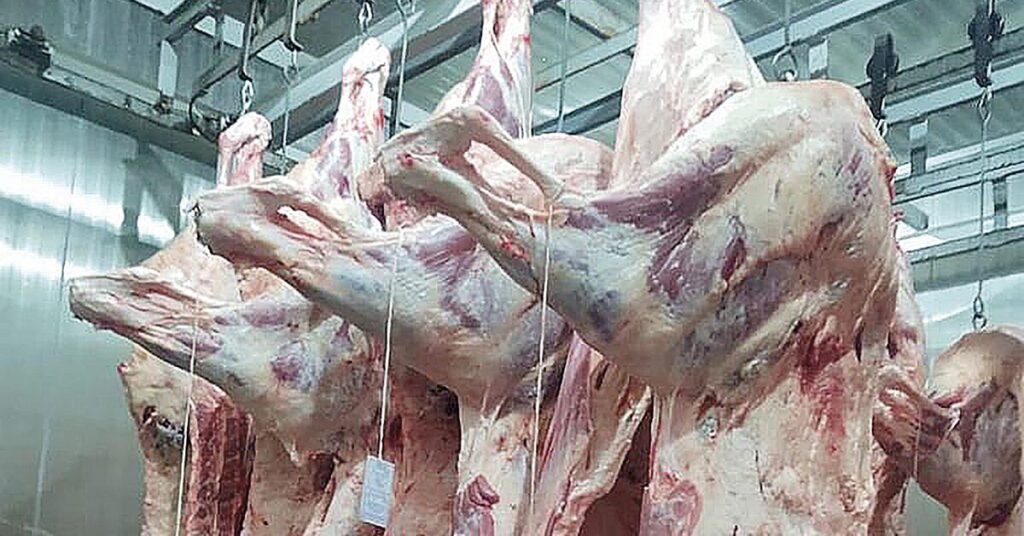 estimulacao eletrica ou pendura pelvica portal dbo