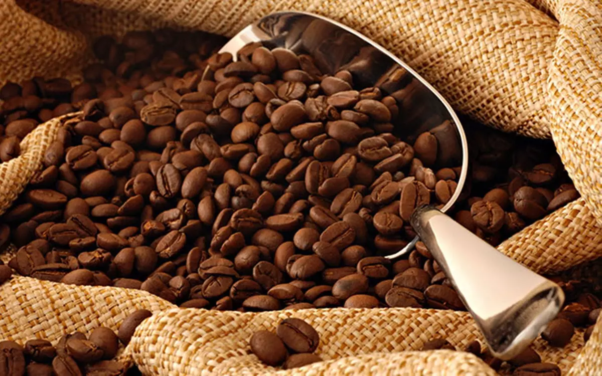 exportacoes de cafe da cooxupe aumentam quase 20 em 2022 para 56 mi sacas 1