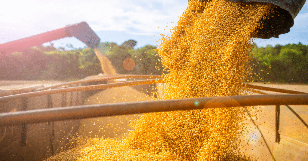 exportacoes de mato grosso do sul chegam a us 2 bilhoes no 1o trimestre portal dbo