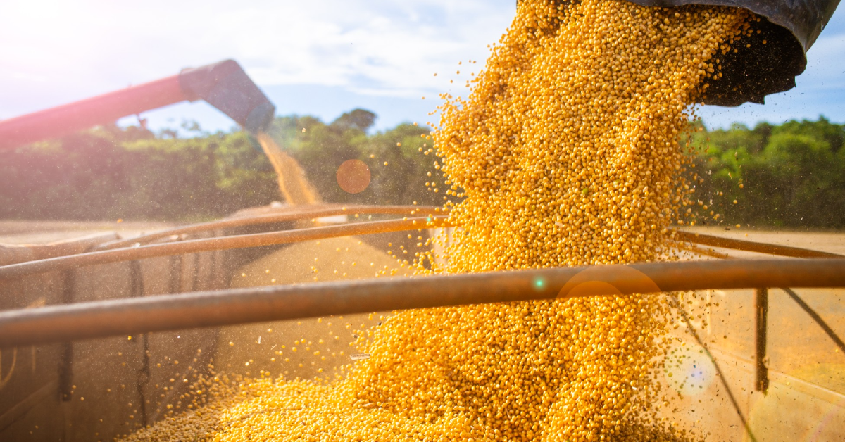 exportacoes de mato grosso do sul chegam a us 2 bilhoes no 1o trimestre portal dbo