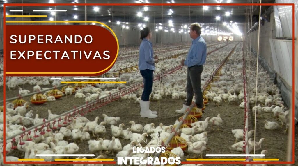 Família se dedica à avicultura e já produz em 8 aviários 2 FAMÍLIA