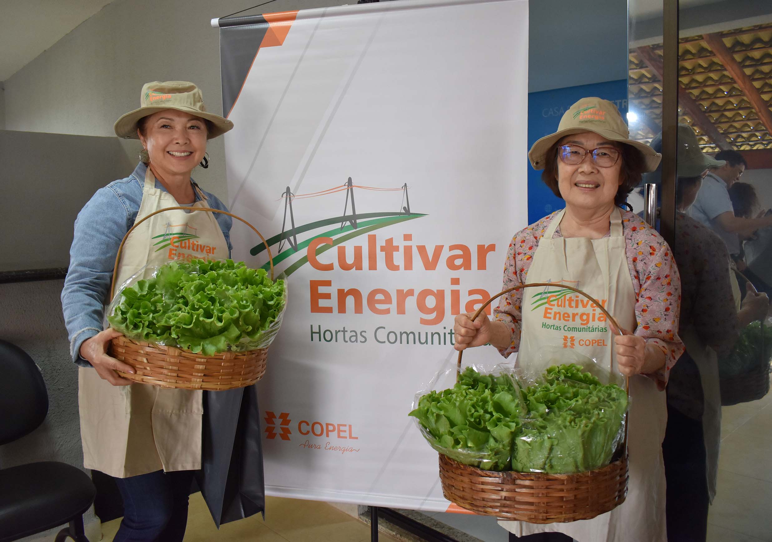 familias cultivam horta comunitaria sob linha de energia