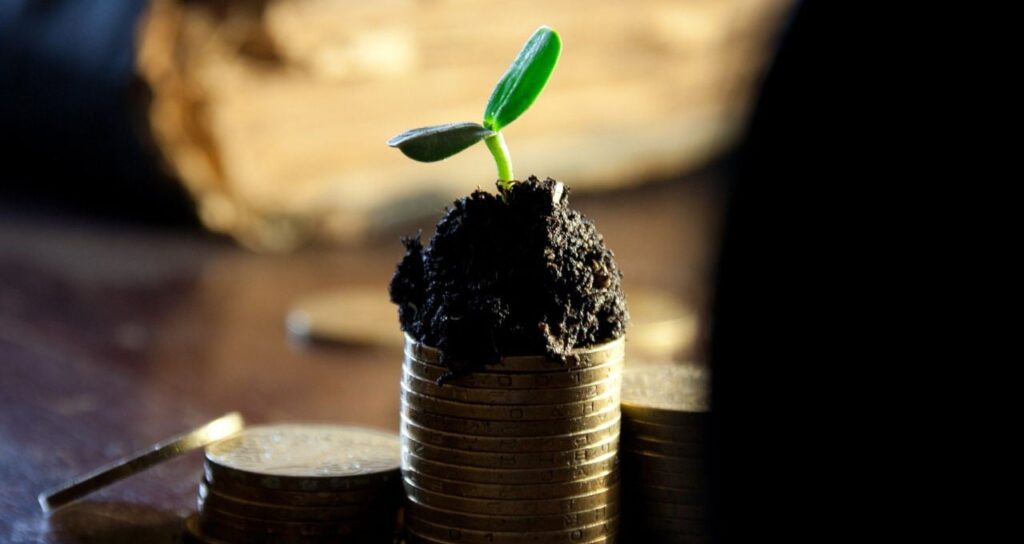 Fiagros superam FIIs, Boa Safra (SOJA3) pode crescer 55%, boi gordo e mais; veja 5 assuntos no Agro Times – Money Times 2 Plano Safra, financiamento, agricultura, pecuária, crédito rural, produção agropecuária, investimentos, Ministério da Agricultura