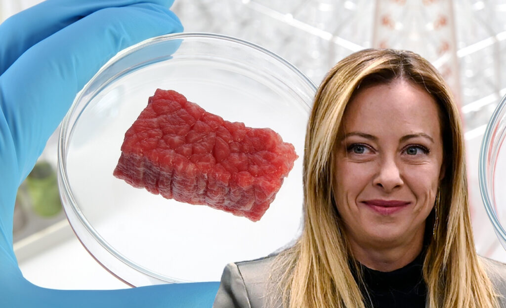 governo italiano propoe projeto de lei que proibe carne de laboratorio