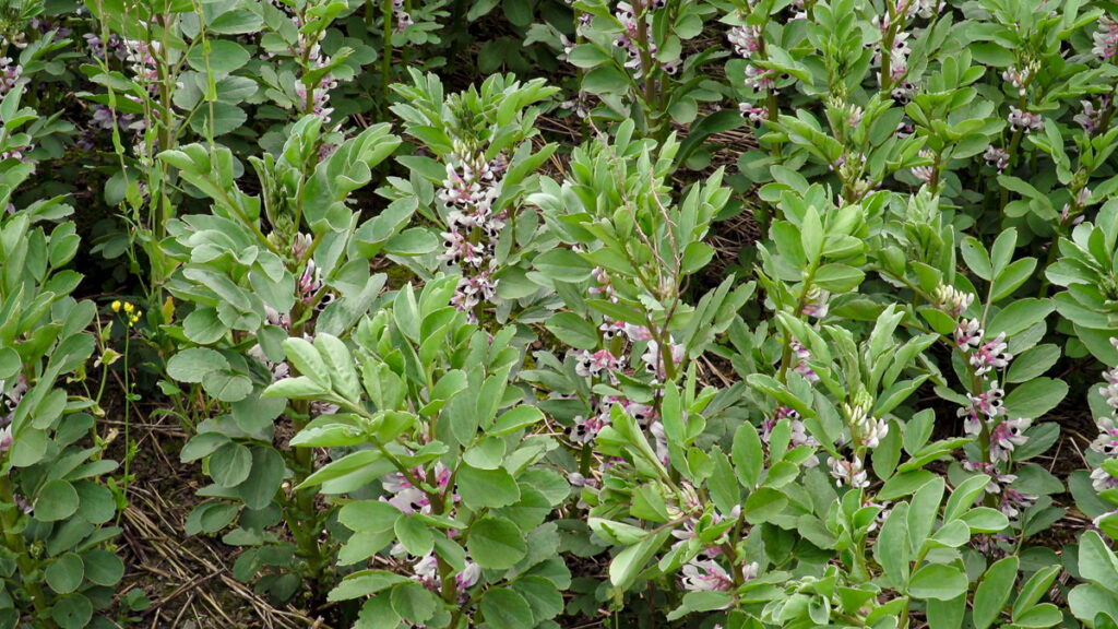 Growing the right crops in the right places 2 growing the right crops in the right places 1