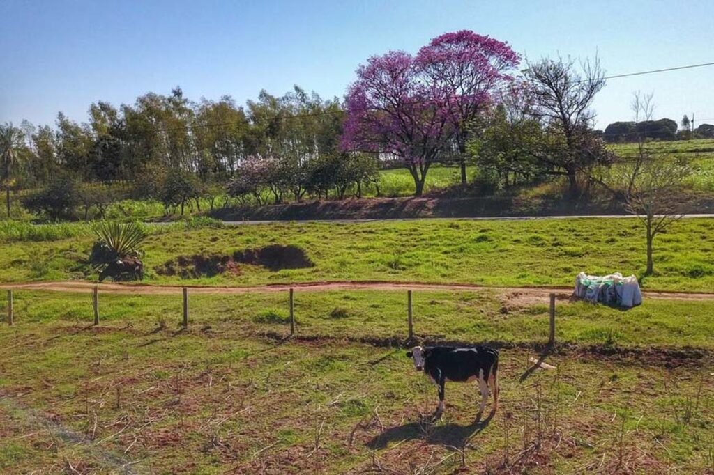 iat cria guia para ajudar agricultores a adequarem areas de reserva legal