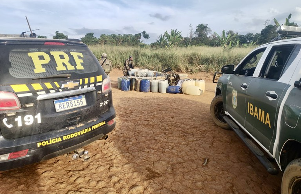 ibama apreende 500 mil cabecas de gado e embarga fazendas no norte do pais