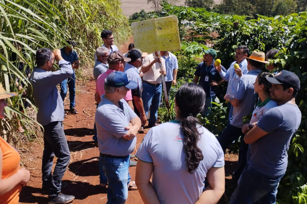 idr parana organiza reunioes para incentivar producao de frutas organicas em arapongas