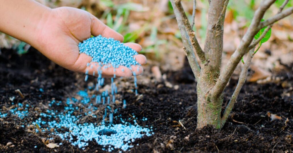 Índice de Poder de Compra de Fertilizantes registra queda de 6% em março • Portal DBO 2 indice de poder de compra de fertilizantes registra queda de 6 em marco portal dbo