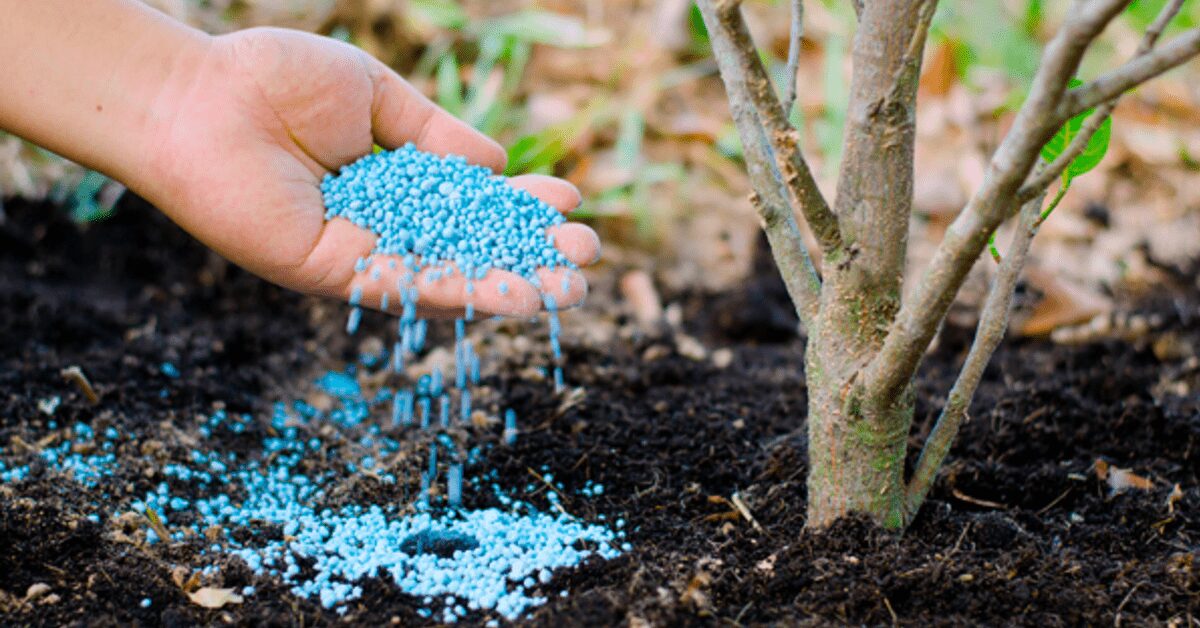 indice de poder de compra de fertilizantes registra queda de 6 em marco portal dbo