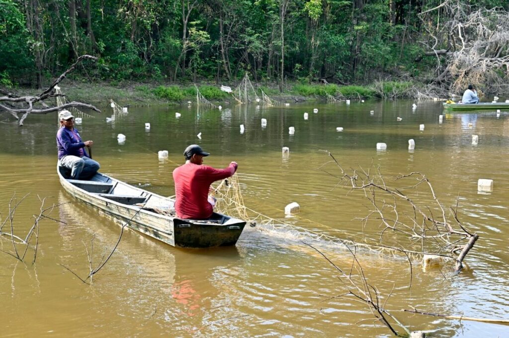 iniciativas de manejo sustentavel sao caminhos para combater a crise climatica