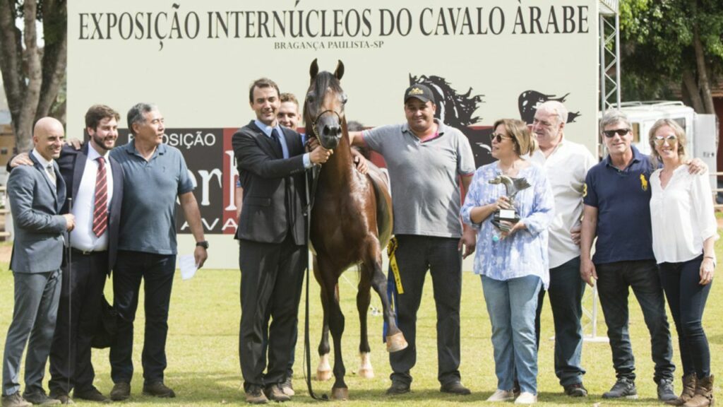Inscrições para a 25ª Exposição Internúcleos do Cavalo Árabe terminam hoje