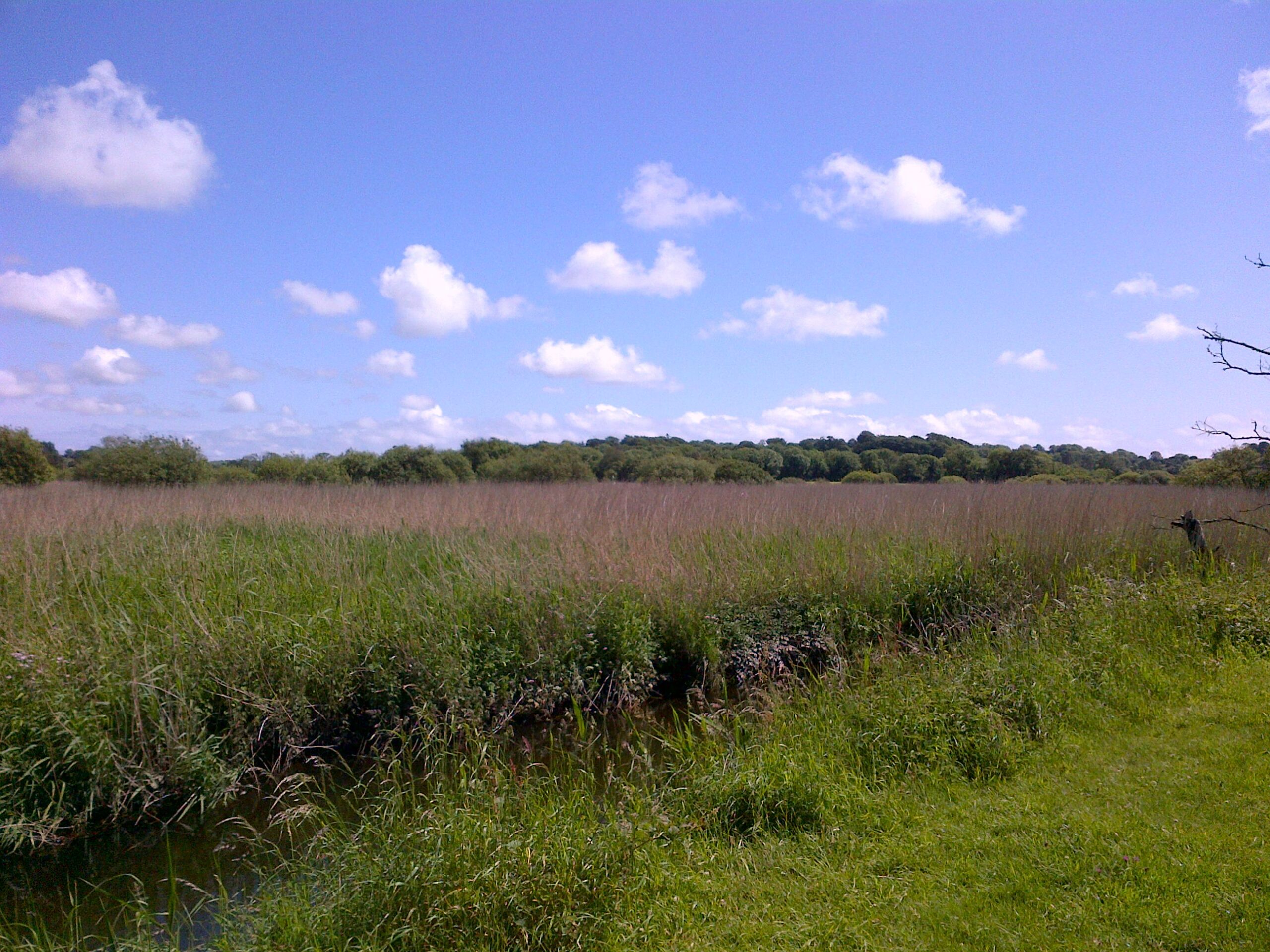 ireland has failed to fulfil conservation obligations eu advisor 1