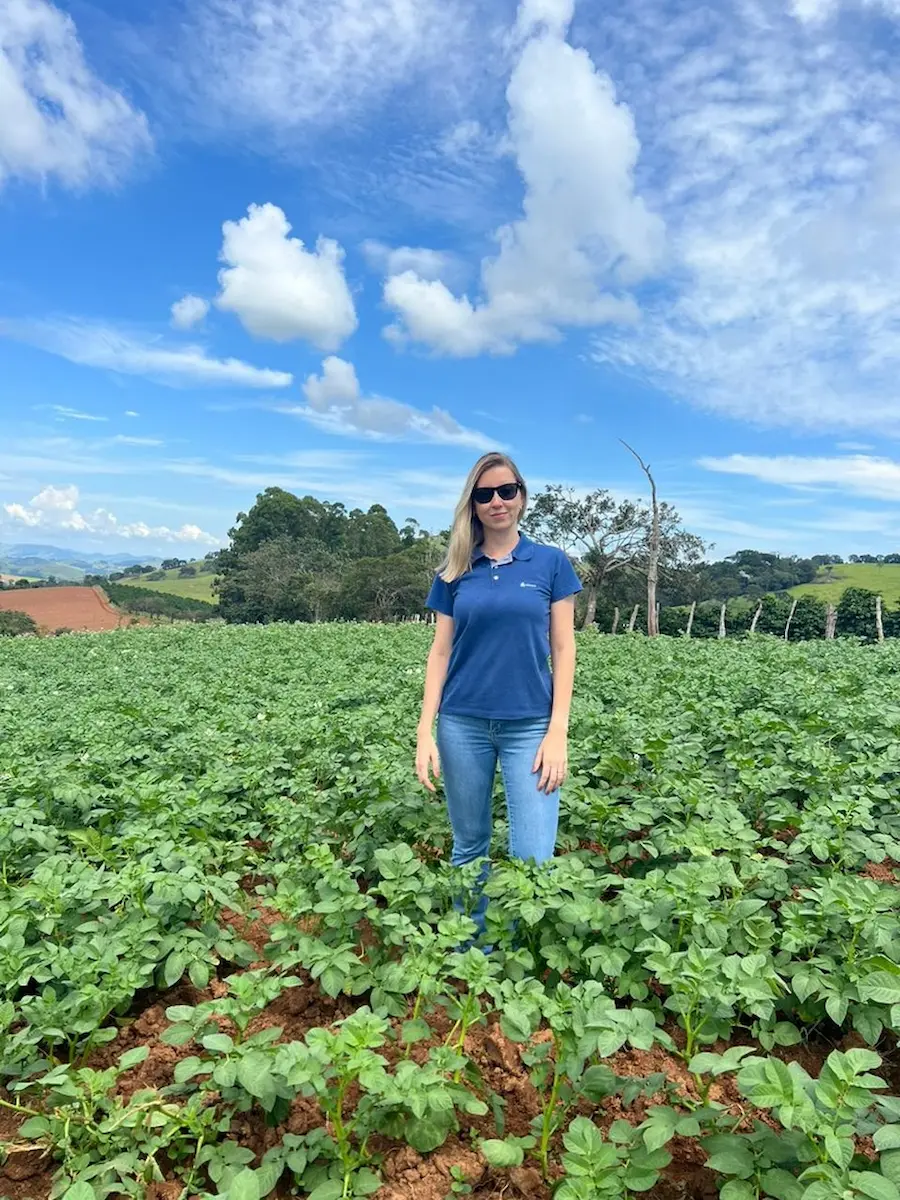 manejo de nematoides no inverno pode reduzir custos e contribuir para sustentabilidade do sistema de producao de batata e cenoura