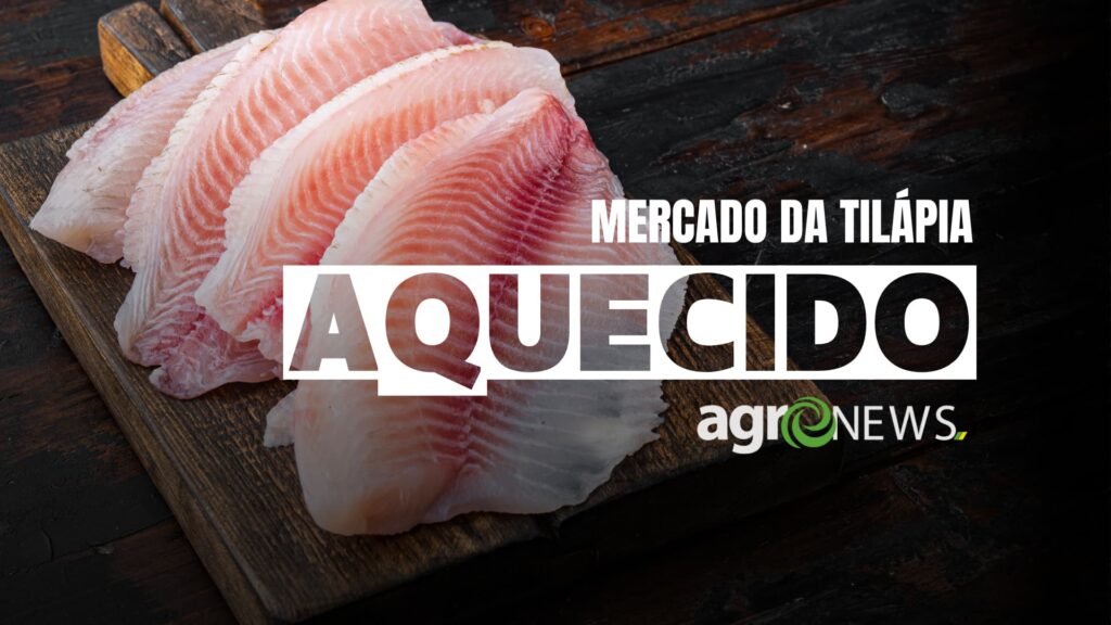Mercado do Peixe 15 de abril 2023