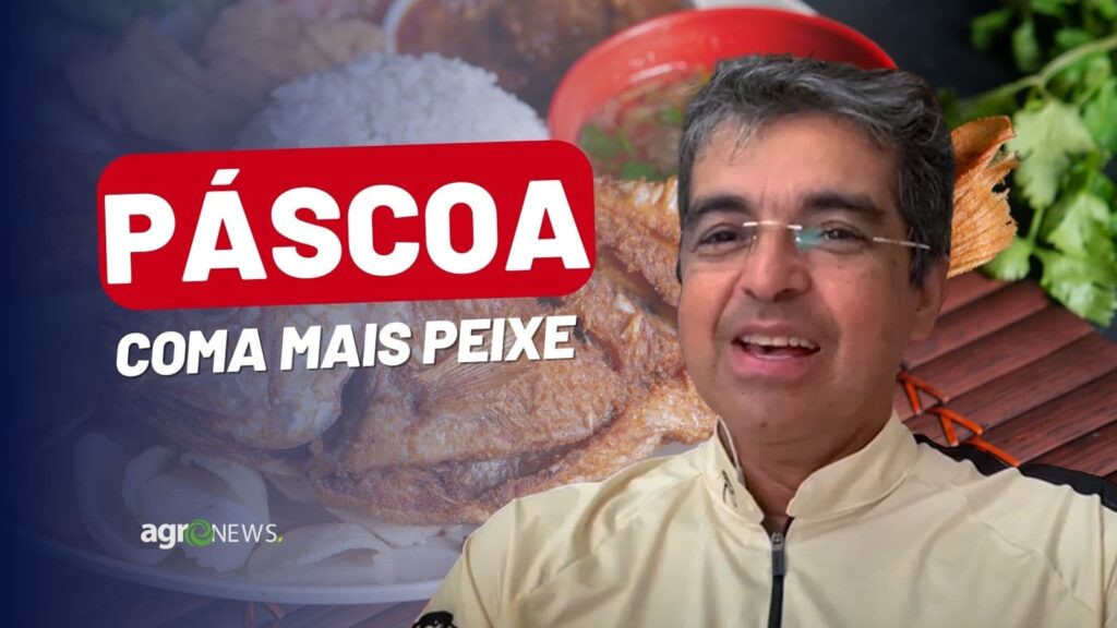 mercado do peixe 1o de abril 2023 chegou a semana santa