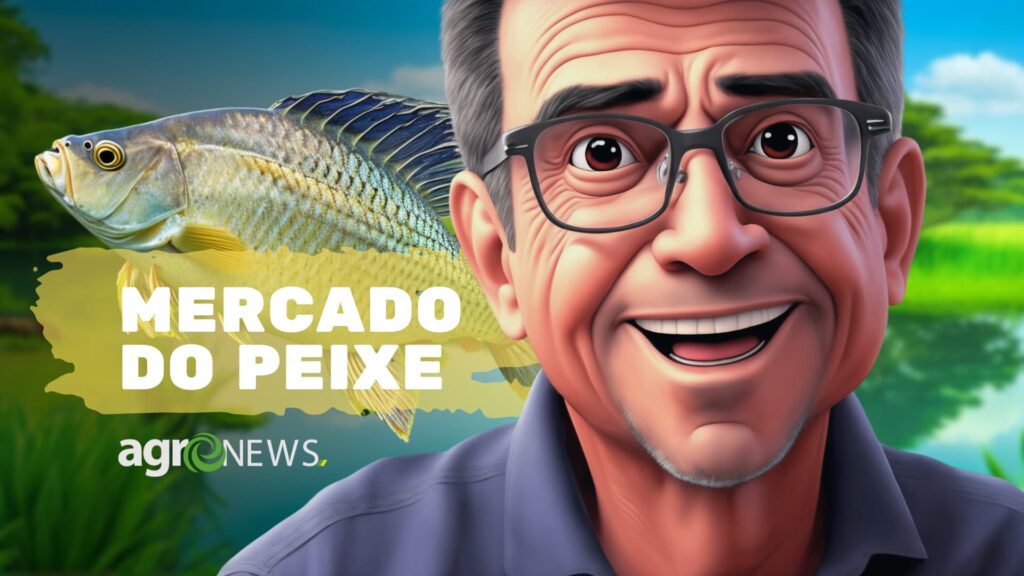 Mercado do Peixe - Francisco Medeiros - agronews