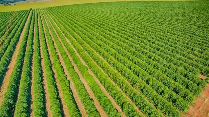 ministro favaro recebe da cna propostas para o plano safra 2023 2024