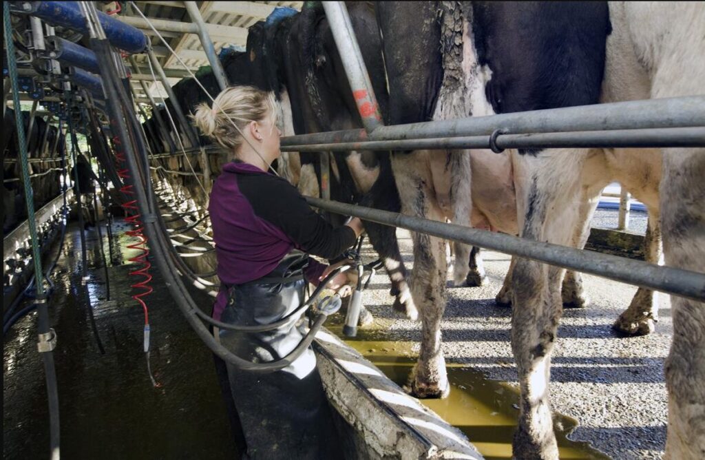 more details on woman farmer capital investment scheme 1