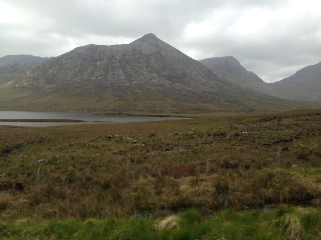 Nature Restoration Law 'legally unsound' - INHFA 2 nature restoration law legally unsound inhfa 1