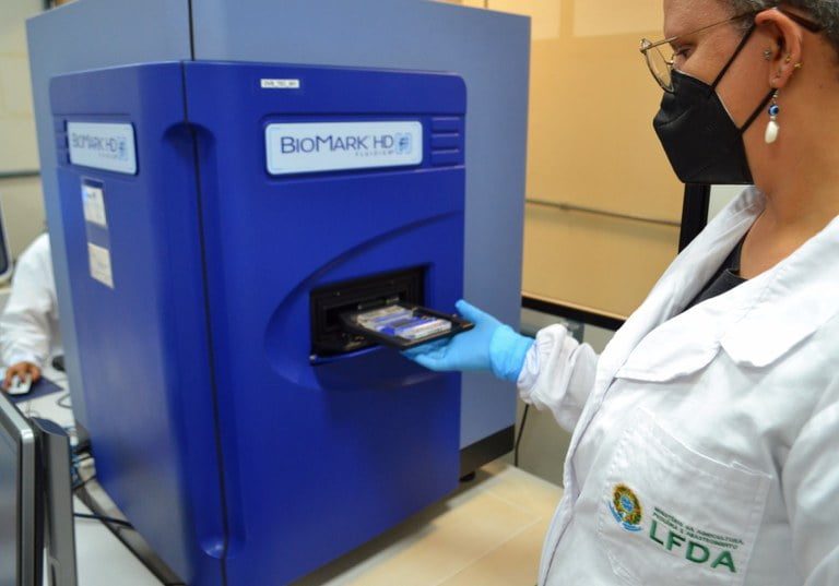 Operação Semana Santa fiscaliza qualidade do pescado em 23 estados e no DF 1 Operação Semana Santa fiscaliza qualidade do pescado em 23 estados e no DF