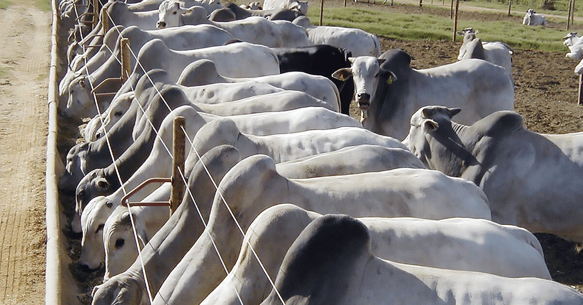 ouca f09f8ea7 confinando no menor intervalo de tempo possivel portal dbo 2