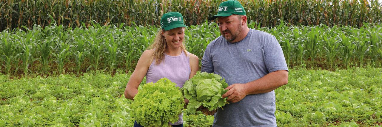 parana alavanca producao organica com auxilio do senar pr 1