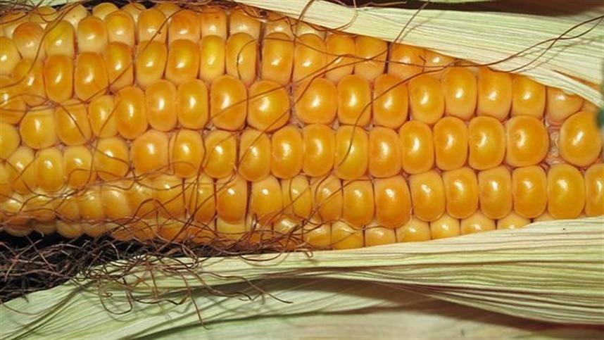 premios de julho voltaram a subir 2