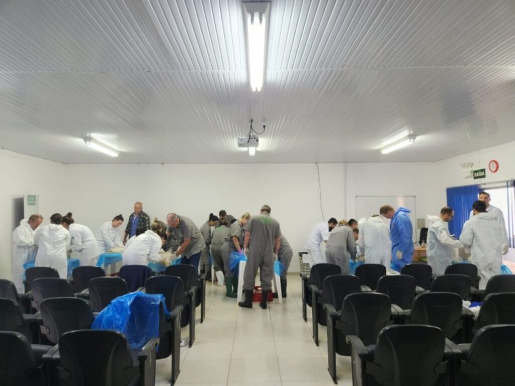 profissionais recebem treinamento sobre sindrome respiratoria de aves 1