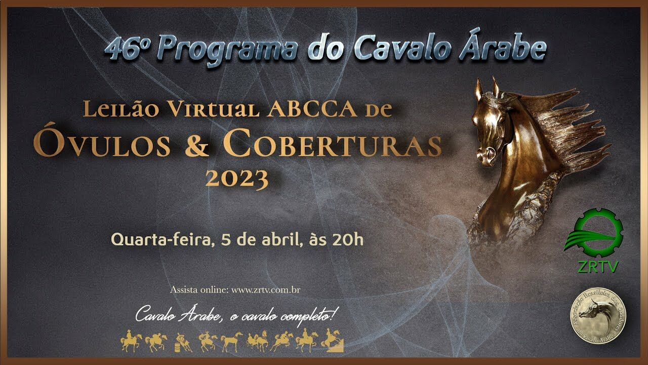 programa cavalo arabe 46 especial leilao abcca
