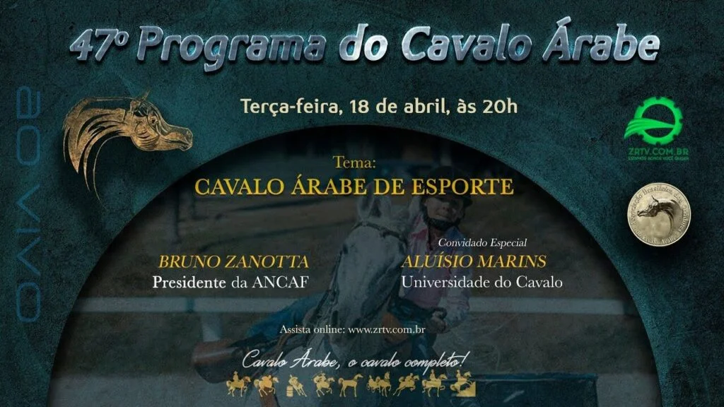 Programa Cavalo Árabe 47 - Cavalo Árabe de Esporte 2 programa cavalo arabe 47 cavalo arabe de esporte 1