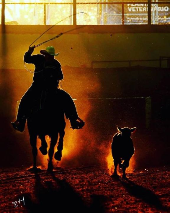 Provas de Laço agitam o primeiro final de semana do 32º Congresso da ABQM