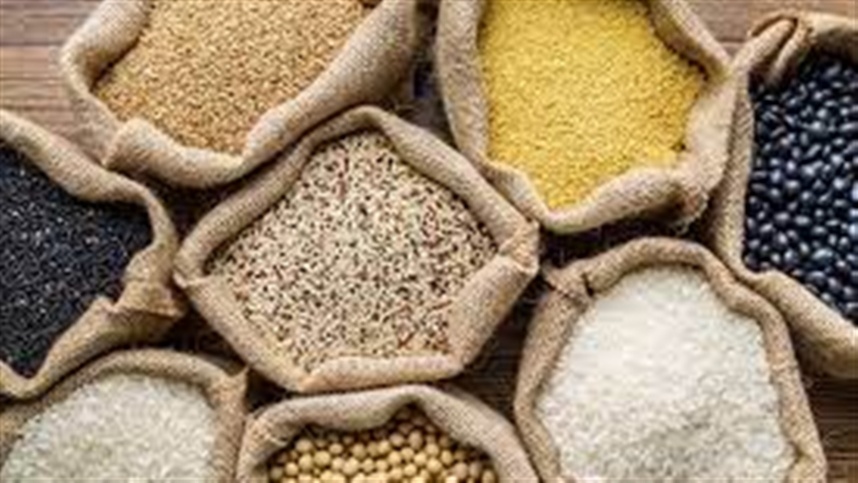 romenia monitorara graos da ucrania em transito e busca limitar importacoes