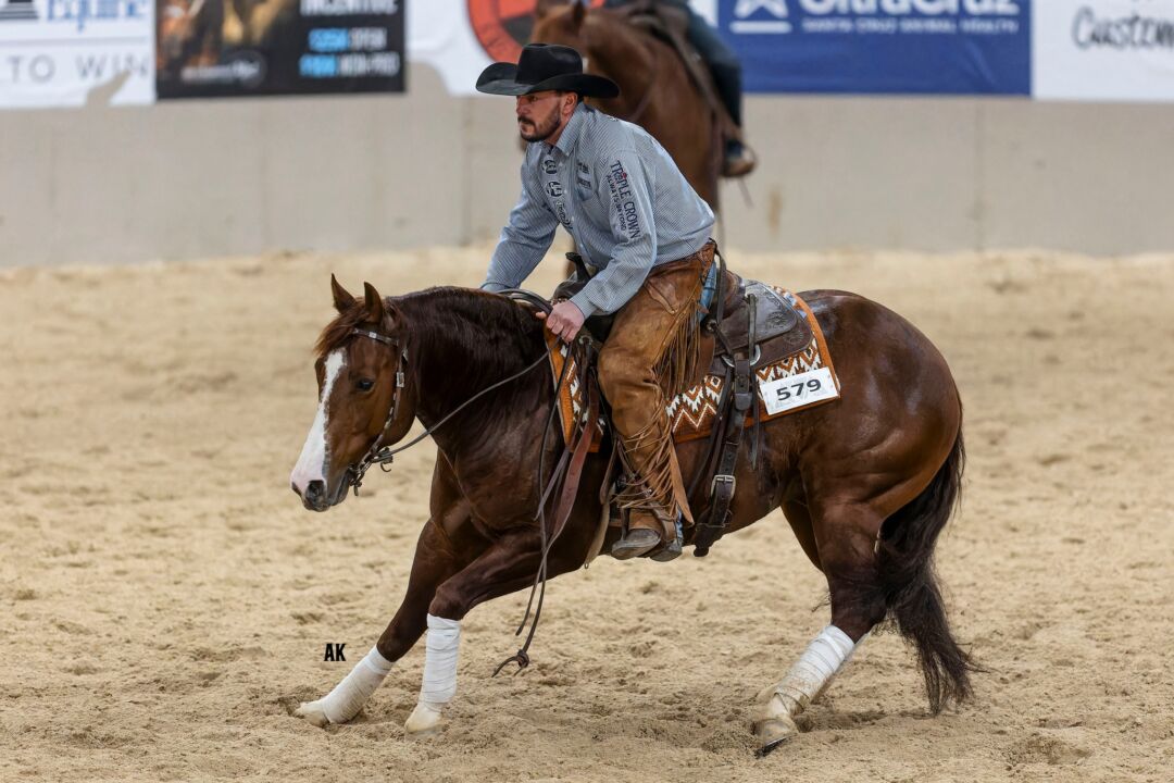 Run For a Million classifica primeiros competidores de Cow Horse