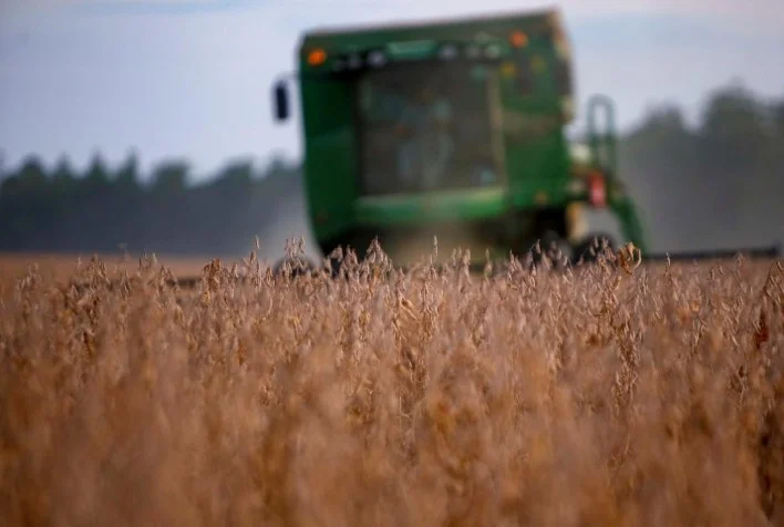 seab deral com 2218 milhoes de toneladas estimadas parana pode colher a maior safra de soja da historia