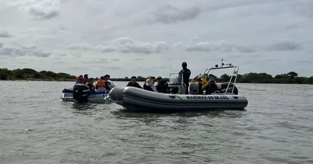 secretaria da agricultura realiza vigilancia ativa contra influenza aviaria portal dbo